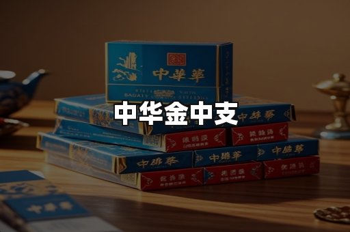 中华金中支
